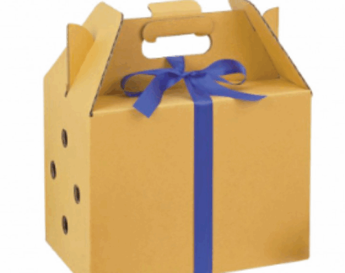 Screenshot 2025-07-21 175908